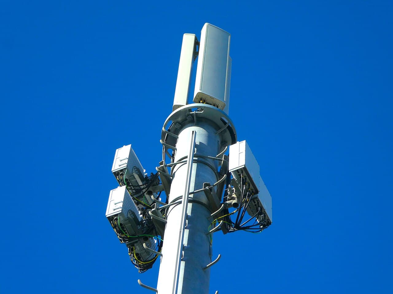 Antenna panels and remote radio units on a cellular monopole tower in Petone, Wellington, New Zealand.